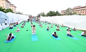 International Yoga Day